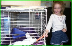 Cherubs Child Care Facility